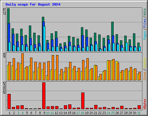 Daily usage for August 2024