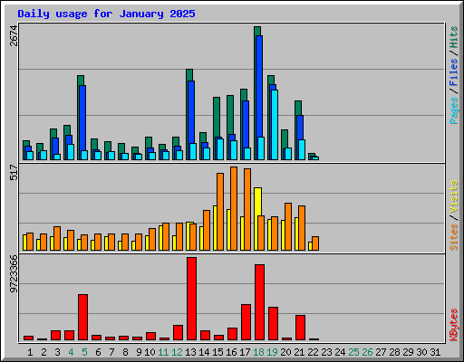 Daily usage for January 2025