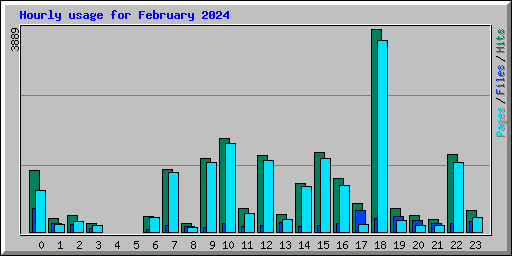 Hourly usage for February 2024