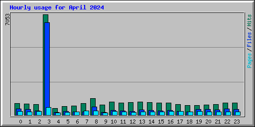 Hourly usage for April 2024