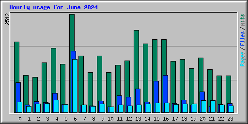 Hourly usage for June 2024