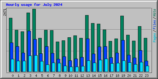 Hourly usage for July 2024