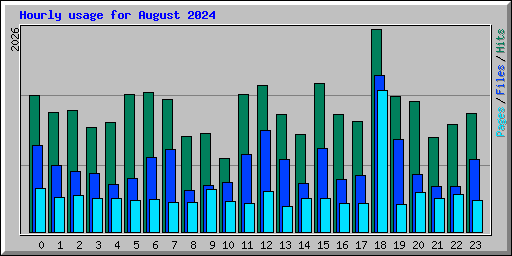 Hourly usage for August 2024