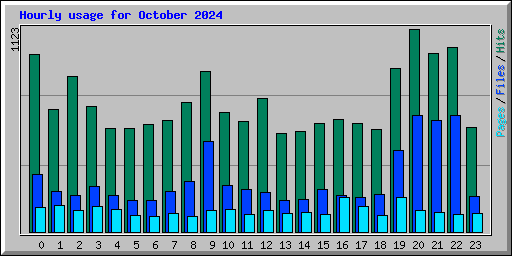 Hourly usage for October 2024