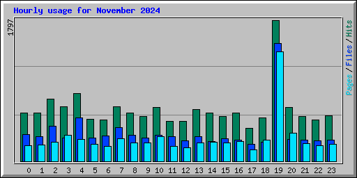 Hourly usage for November 2024