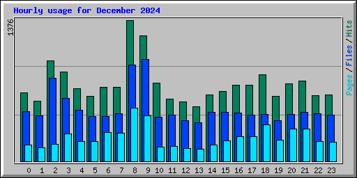 Hourly usage for December 2024