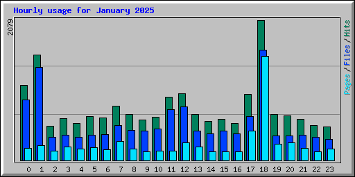 Hourly usage for January 2025