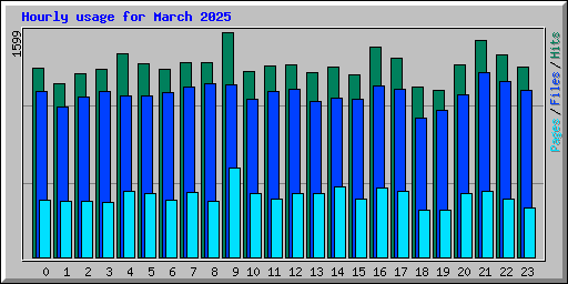 Hourly usage for March 2025