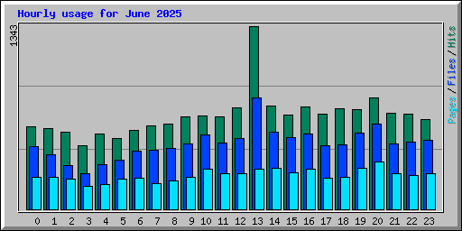 Hourly usage for June 2025