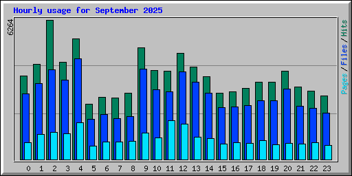 Hourly usage for September 2025