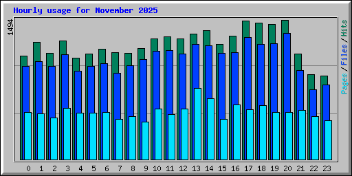 Hourly usage for November 2025