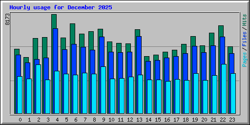 Hourly usage for December 2025