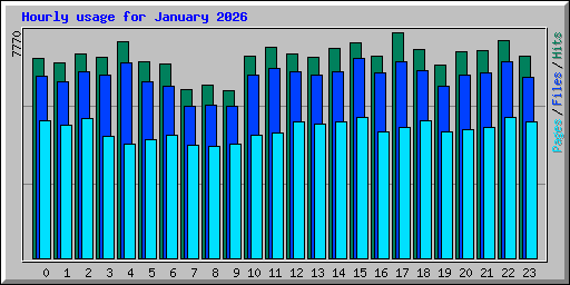 Hourly usage for January 2026